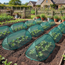 Green mesh plant cover positioned over low-growing plants in an outdoor garden bed.