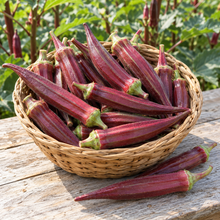 Freshly harvested Red Burgundy okra pods in a woven basket on a wooden garden table.