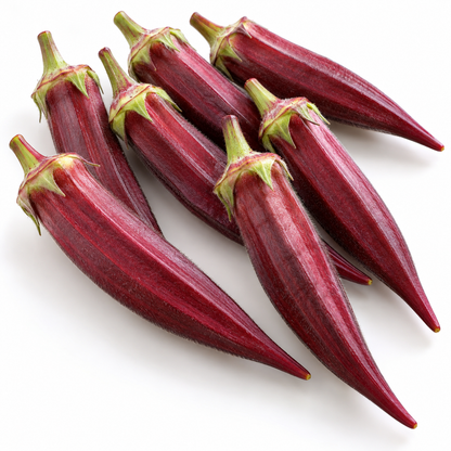Fresh Red Burgundy okra pods with green stems on a white background.