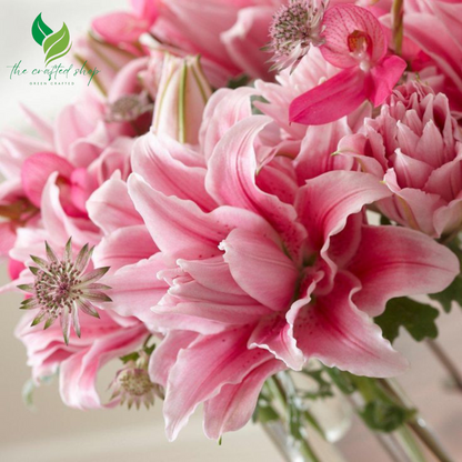 Roselily Isabella Double Lily Bulbs – Pack of 5 | Random Mixed Colors | Fragrant, Petal-Rich Flowers