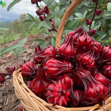 Roselle Seeds (Hibiscus Sabdariffa) – 100+ High-Yielding