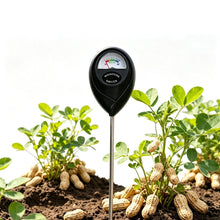 Soil moisture meter guide showing correct use in plant soil and incorrect use in a bucket of water.