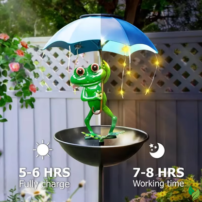decorative frog light garden pathway