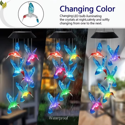 glowing hummingbird LED garden lights outdoor