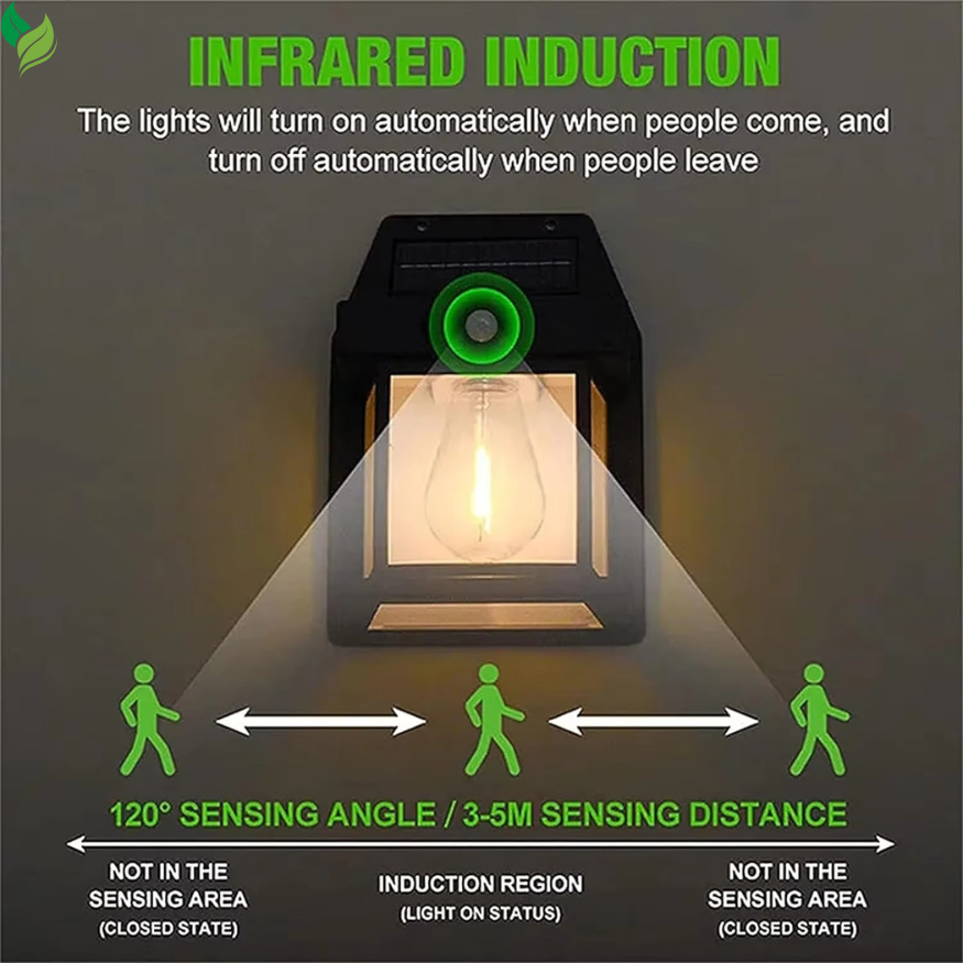Solar powered motion light for garden wall