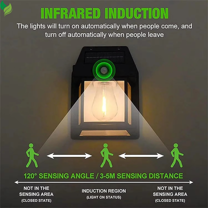 Solar powered motion light for garden wall