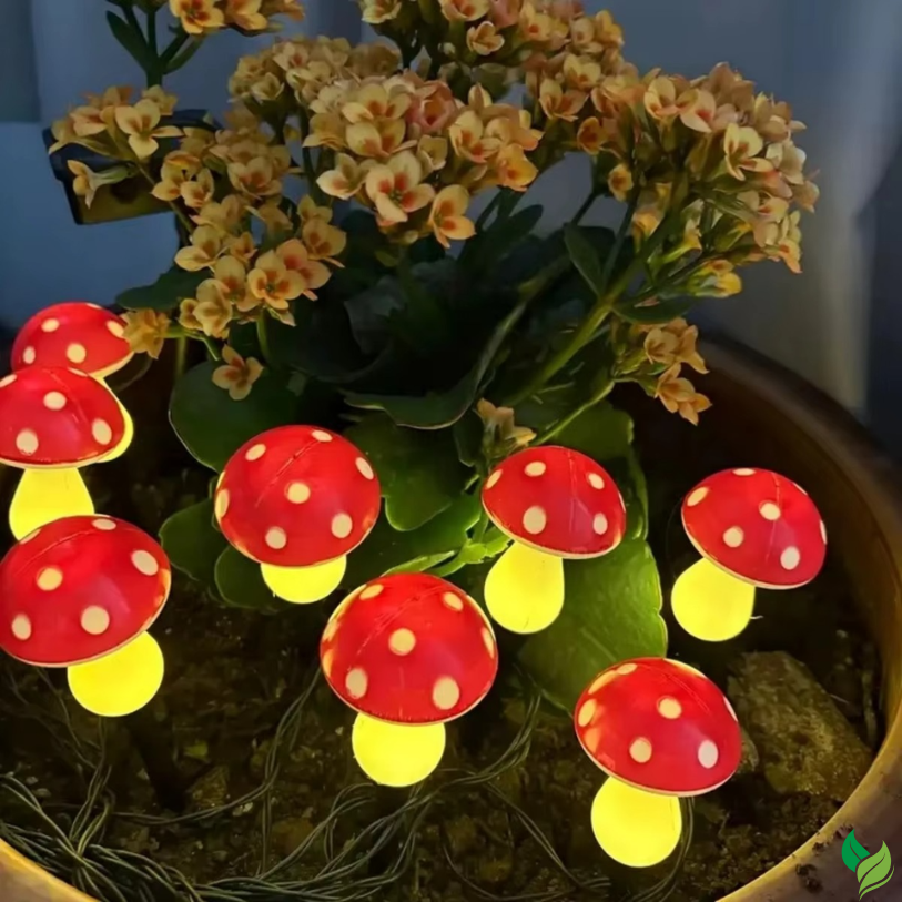 Solar Mushroom Garden Lights – Cute Waterproof LED Decor