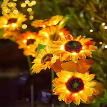 solar sunflower garden lights glowing at night
