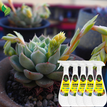 Sprouts Booster 300ml