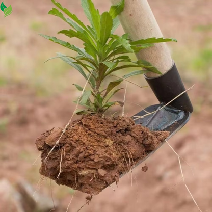 manganese steel hoe blade gardening tool
