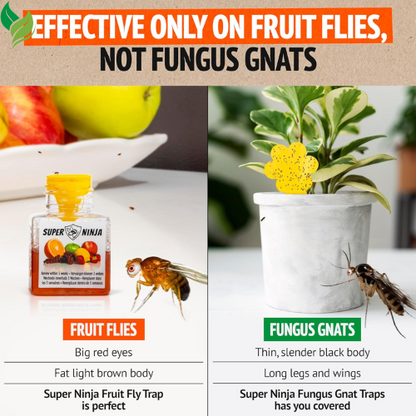 Super Ninja Fruit Fly Traps for Indoors - 1 Pack, Highly Effective Fruit Fly Catcher for Indoor
