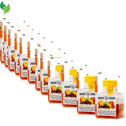 Super Ninja Fruit Fly Traps for Indoors - 1 Pack, Highly Effective Fruit Fly Catcher for Indoor