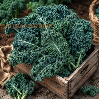 Vates Blue Curled Kale Seeds, 300 Count
