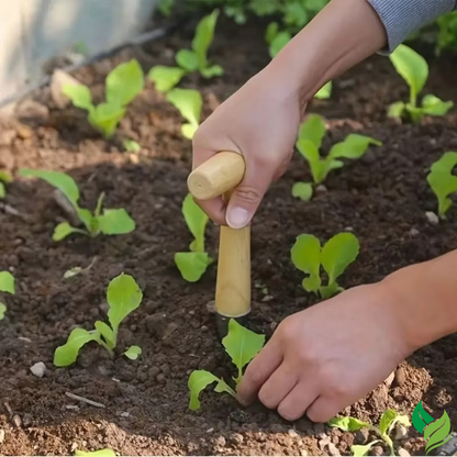 wood handle seed dibber tool in garden soil