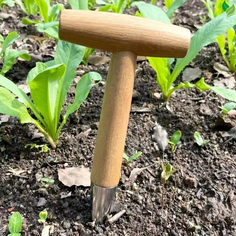 planting tool for bulbs and seedlings