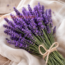 Dried English lavender bouquet tied with twine on beige linen
