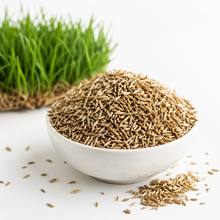 Fresh green lawn grown from perennial ryegrass seeds