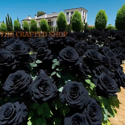 Cold stratification steps for growing rose seeds