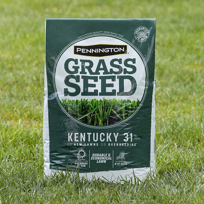 Fescue Grass Seed, 3 lb