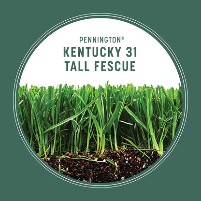 Fescue Grass Seed, 3 lb