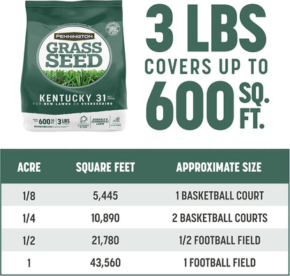 Fescue Grass Seed, 3 lb