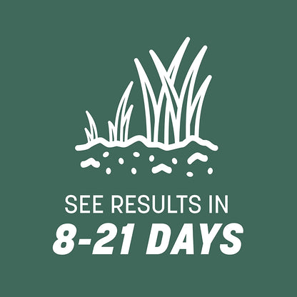 Fescue Grass Seed, 3 lb