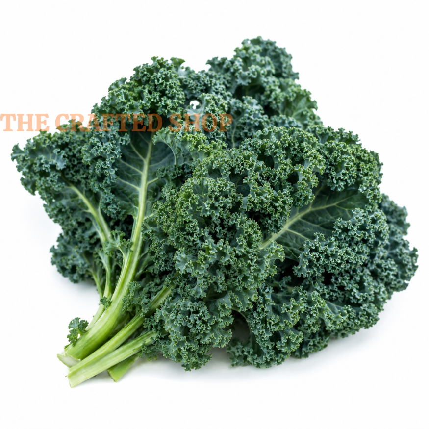 Fresh Vates Blue Curled kale with fringed leaves and pale stems on white