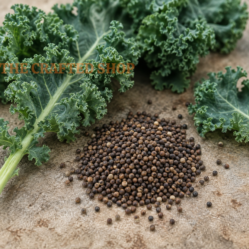 Dark brown seeds surrounded by fresh curly Vates kale leaves